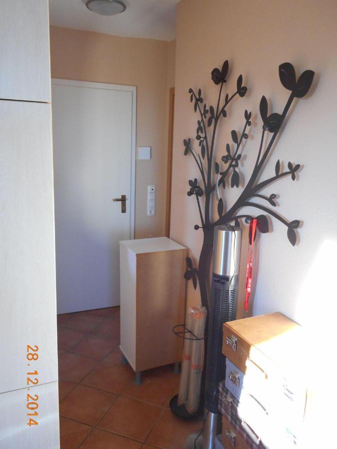 Ferienwohnung Sonnenblume Landkirchen Exterior foto